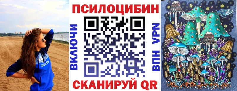 Галлюциногенные грибы Psilocybine cubensis Лабытнанги